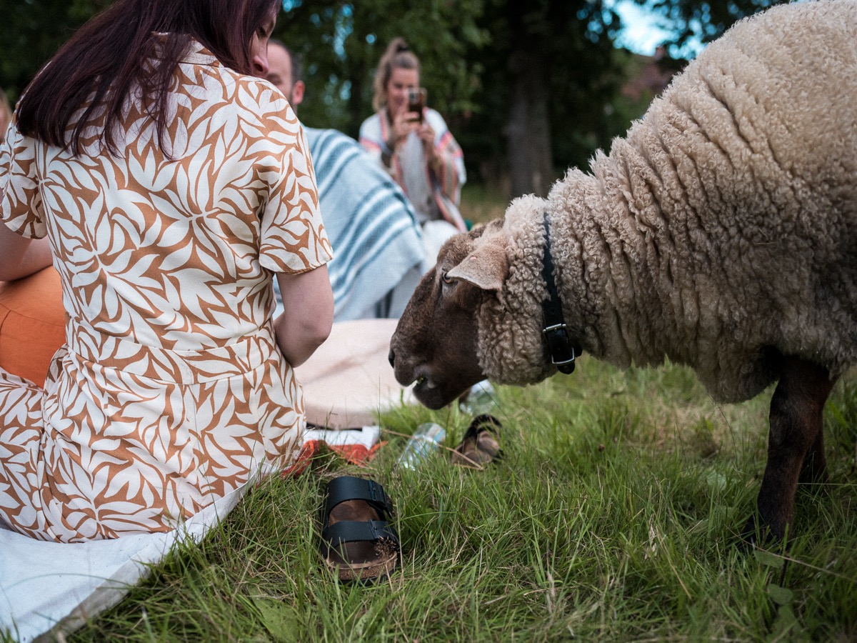 Emma beim Picknick mit der Gruppe